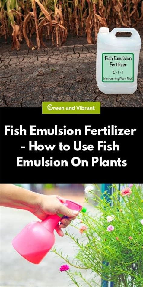 fish emulsion fertilizer|The Benefits of Fish Fertilizer and How to Use it .